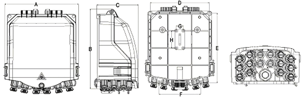 fat-16b dimension