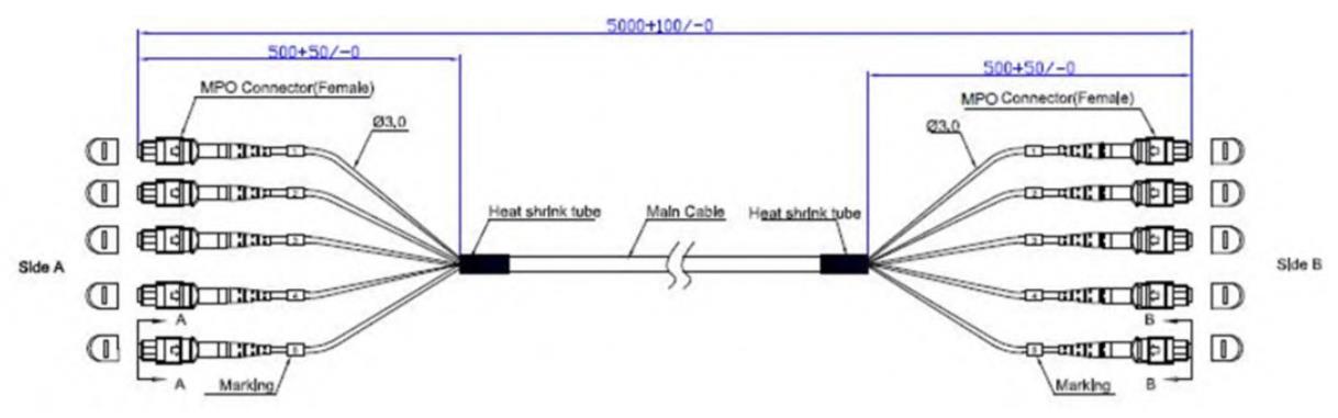 MPO MTP Truck cable drawing