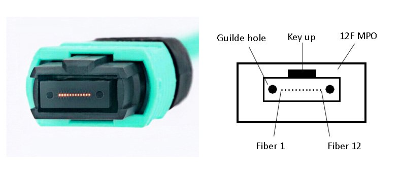 12 fiber mpo connector