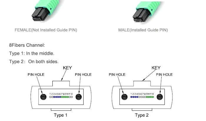 2 types of 8 fiber mpo connector