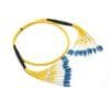 12 cores distribution cable fibre patch leads,6.0mm yellow lszh sm,fanout cable 0.9mm 30cm optical fiber pigtails lc/upc to lc/upc blue
