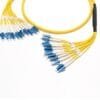 12 cores distribution cable fibre patch leads,6.0mm yellow lszh sm,fanout cable 0.9mm 30cm optical fiber pigtails lc/upc to lc/upc blue