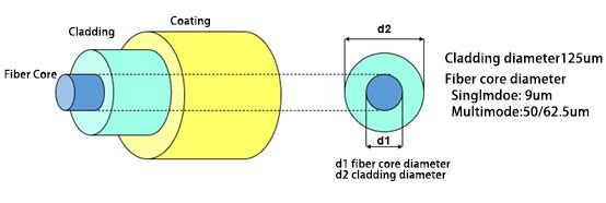 figure 1 fiber structure