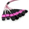 mtp to mtp cable 96 cores to 6x12f mtp fanout cable, om4 violet, multimode 1 meter (copy)
