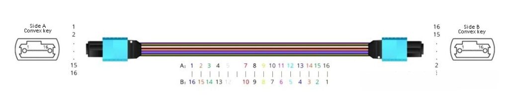 mpo 16 connectors polarity