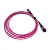 100g qsfp28 24 fiber mtp mpo fiber breakout cable, mm om4 50/125um, 24 fiber mpo female connetor , violet