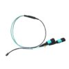 hpc, dci, aerospace use 48 fibers mt mpo patch cord 1mt, fanout 2x 24 fiber mpo connectors, om3 10g aqua 20cm