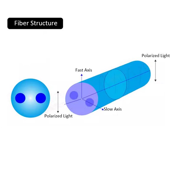 pm fiber structure
